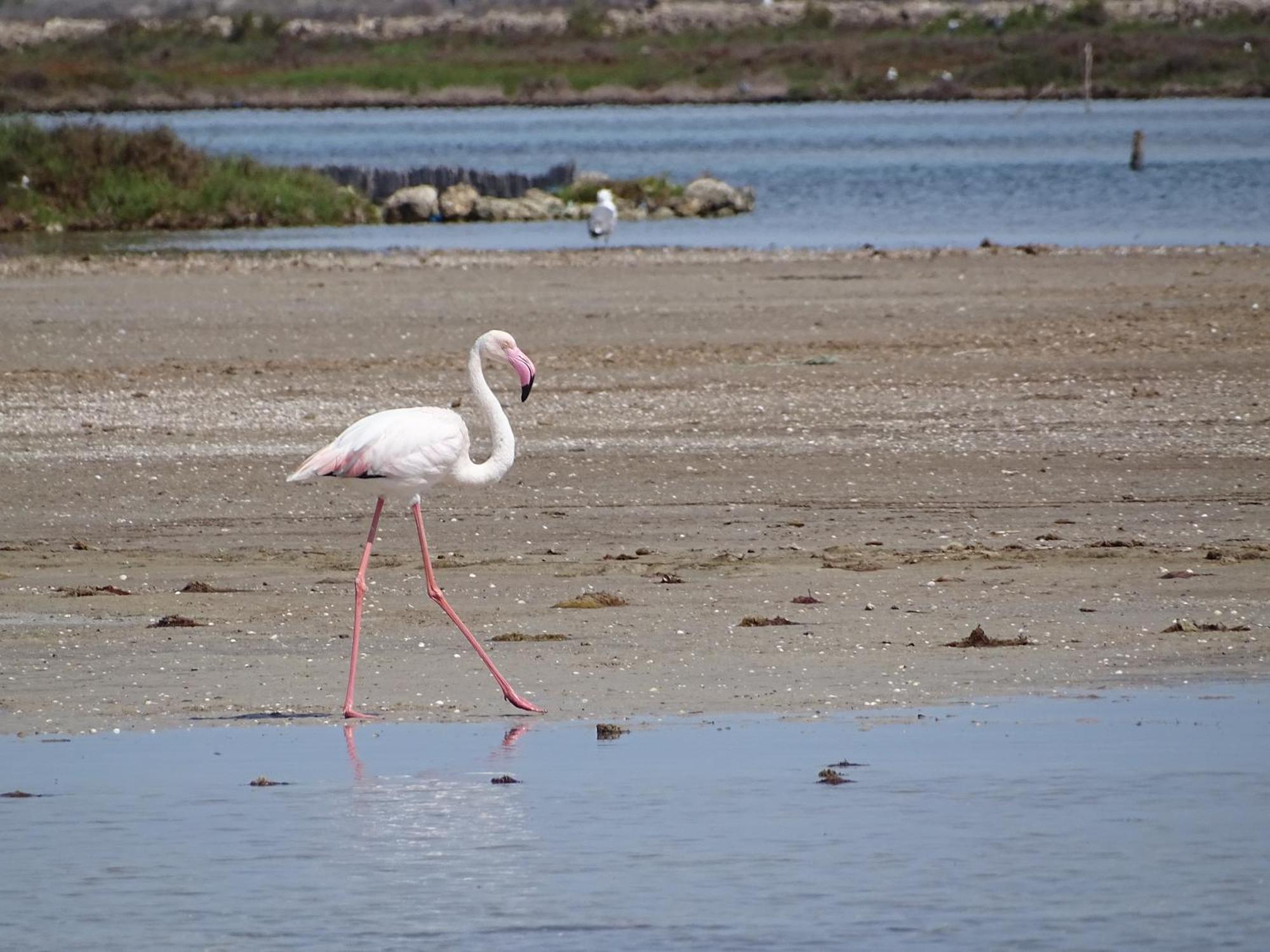 Los Suenos Del Mar Menor San Javier Kültér fotó
